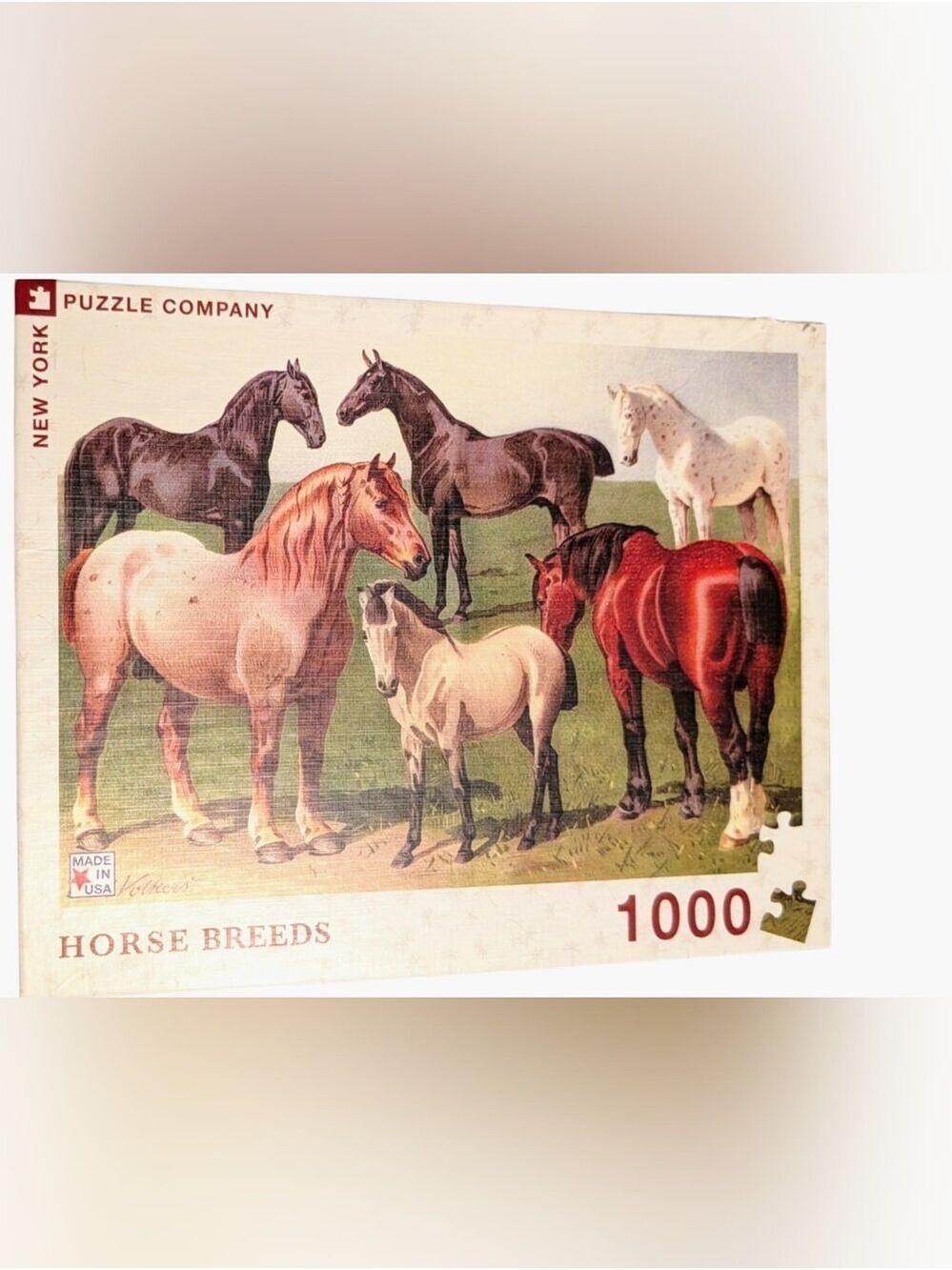 1000-Piece Horse Puzzle - Red Accents